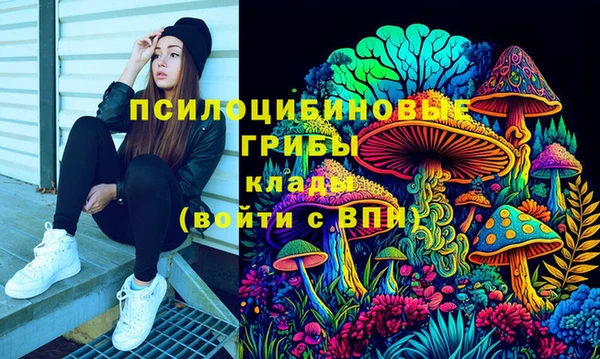 шишки Баксан