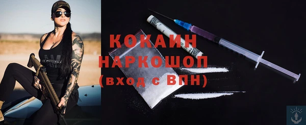 шишки Баксан