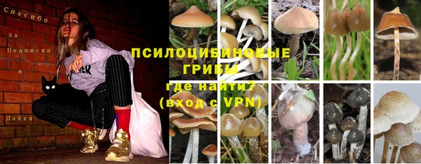 шишки Баксан