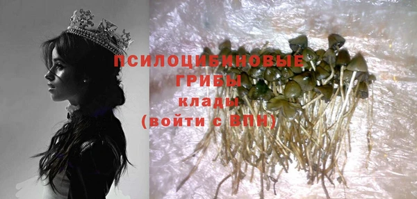 хмурый Балахна