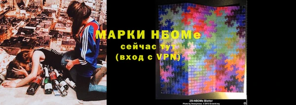 шишки Баксан